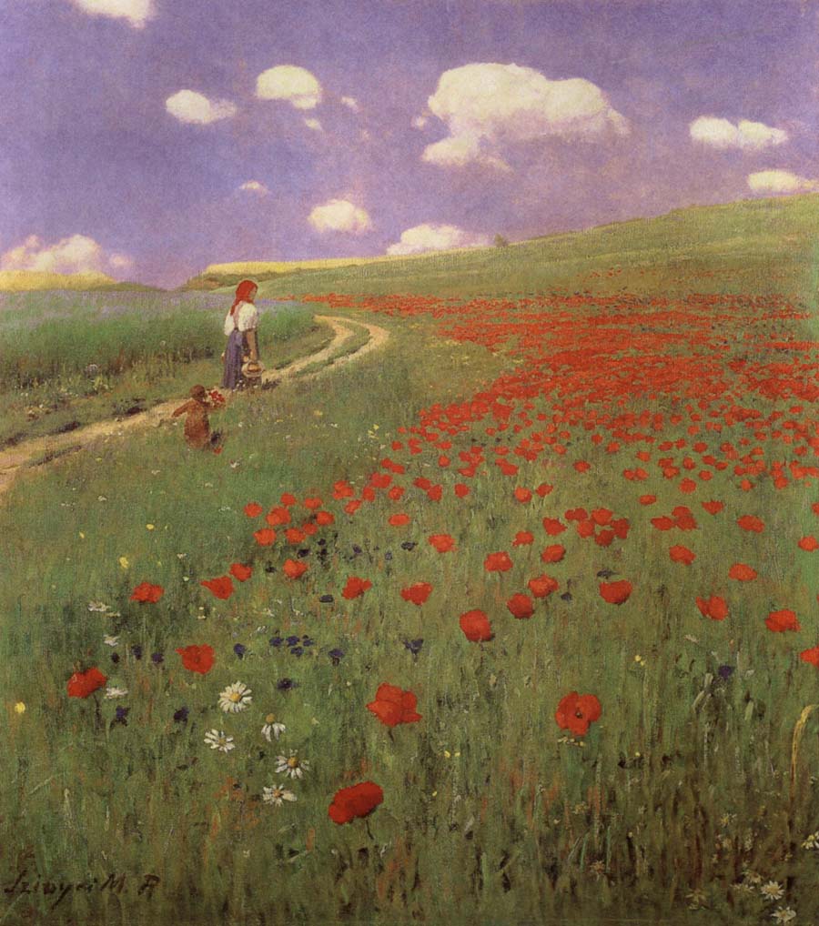 A Field of Poppies